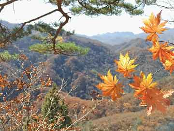 笑傲江湖新版本深度解析