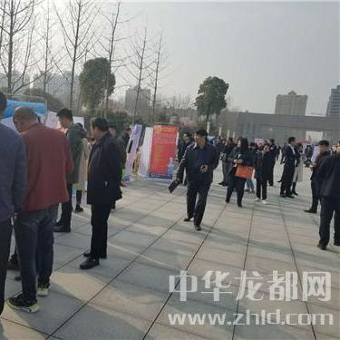 周口招聘网最新招聘信息概览