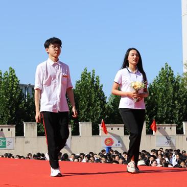赴日旅游女教师最新动态深度解读
