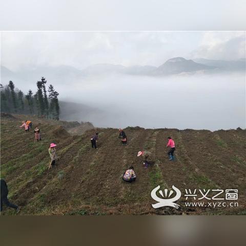 贵州高考最新消息解读，2025年全面更新政策